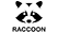 Racoon