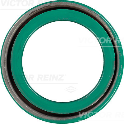 Reinz Krukaskeerring 81-10308-00