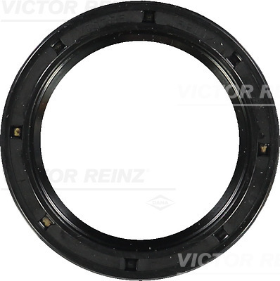 Reinz Nokkenas keerring 81-15855-00