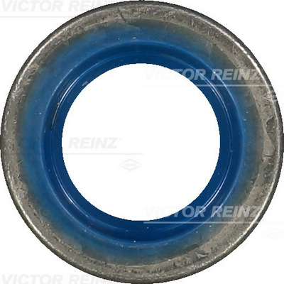 Reinz Nokkenas keerring 81-20307-00