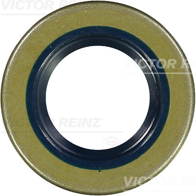 Reinz Nokkenas keerring 81-20308-00