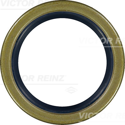 Reinz Nokkenas keerring 81-20991-20