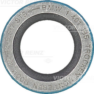 Reinz Nokkenas keerring 81-27028-00