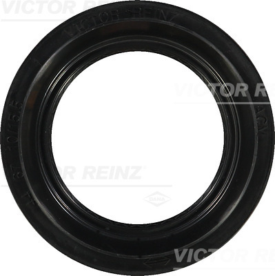 Reinz Nokkenas keerring 81-29411-00