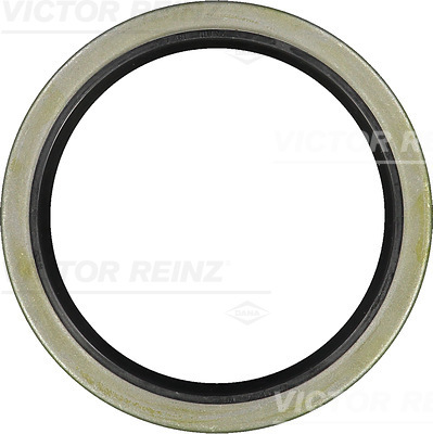 Reinz Nokkenas keerring 81-33850-00