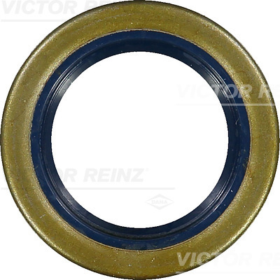 Reinz Nokkenas keerring 81-33857-00