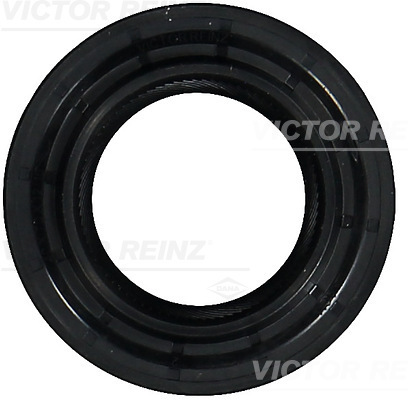 Reinz Nokkenas keerring 81-35073-00