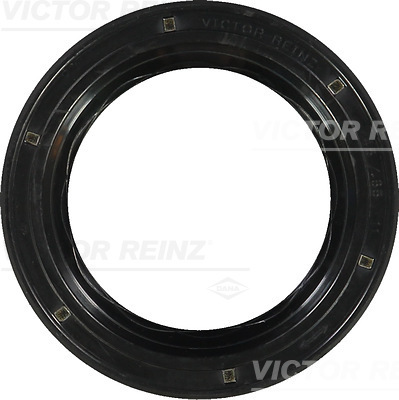 Reinz Nokkenas keerring 81-35077-00