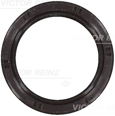 Reinz Nokkenas keerring 81-53582-00