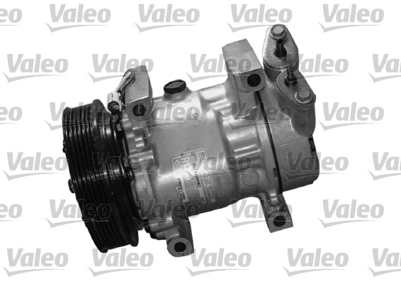 Valeo Airco compressor 699191