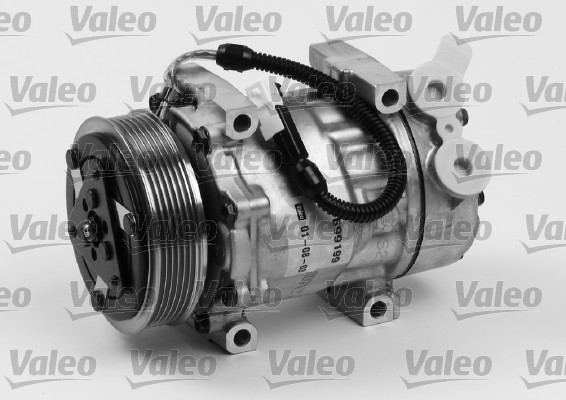 Valeo Airco compressor 699199