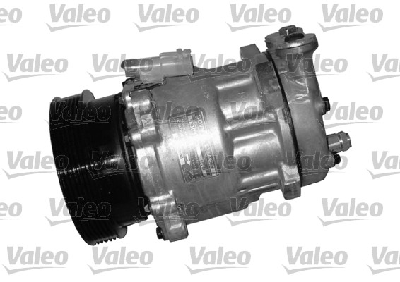 Valeo Airco compressor 699220