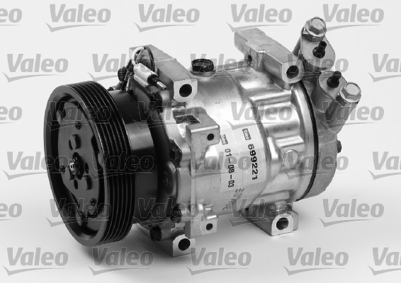 Valeo Airco compressor 699221