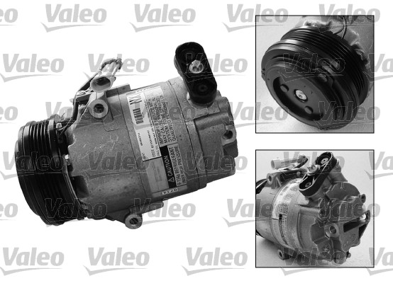 Valeo Airco compressor 699270