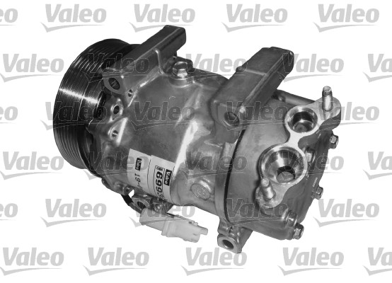 Valeo Airco compressor 699354