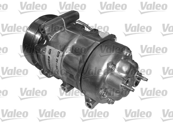 Valeo Airco compressor 699359