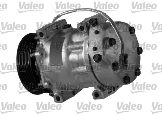 Valeo Airco compressor 699366
