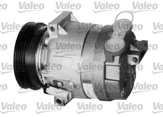 Valeo Airco compressor 699391