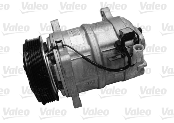 Valeo Airco compressor 699753