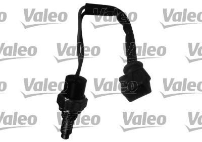 Valeo Temperatuursensor 700027