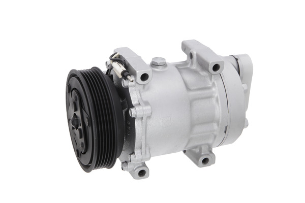 Valeo Airco compressor 699579