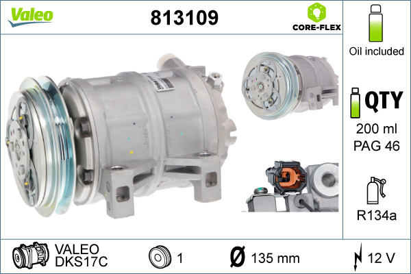 Valeo Airco compressor 813109