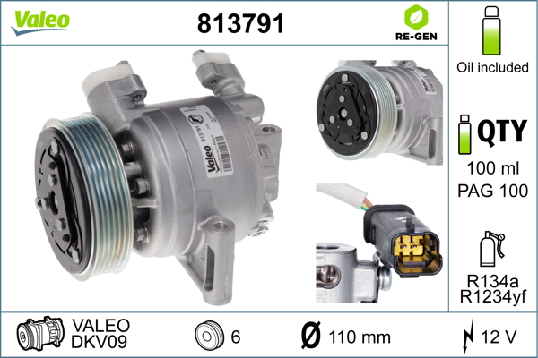 Valeo Airco compressor 813791