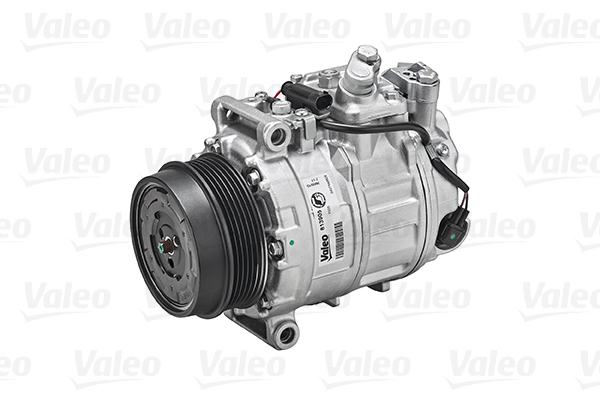 Valeo Airco compressor 813905