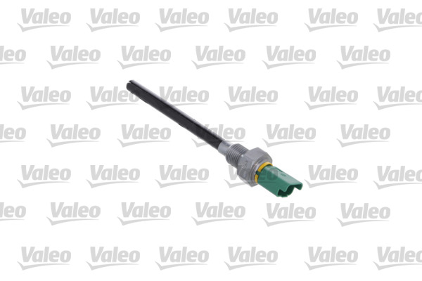 Valeo Motoroliepeil sensor 366203