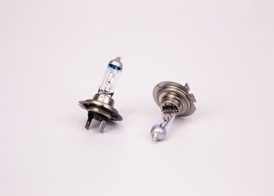 Bosch Gloeilamp 1 987 301 107