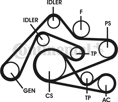 Contitech Poly V-riemen kit 6PK2404D2