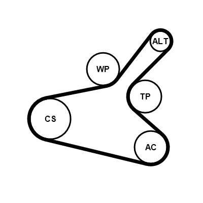 Contitech Poly V-riem set 7PK1145K1