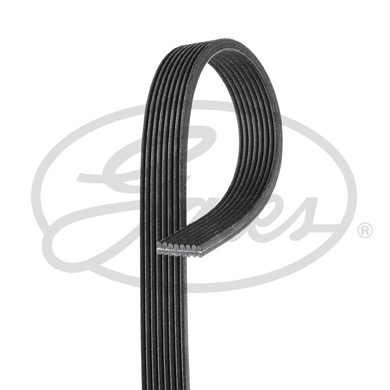 Gates Poly V-riem 8DPK1445