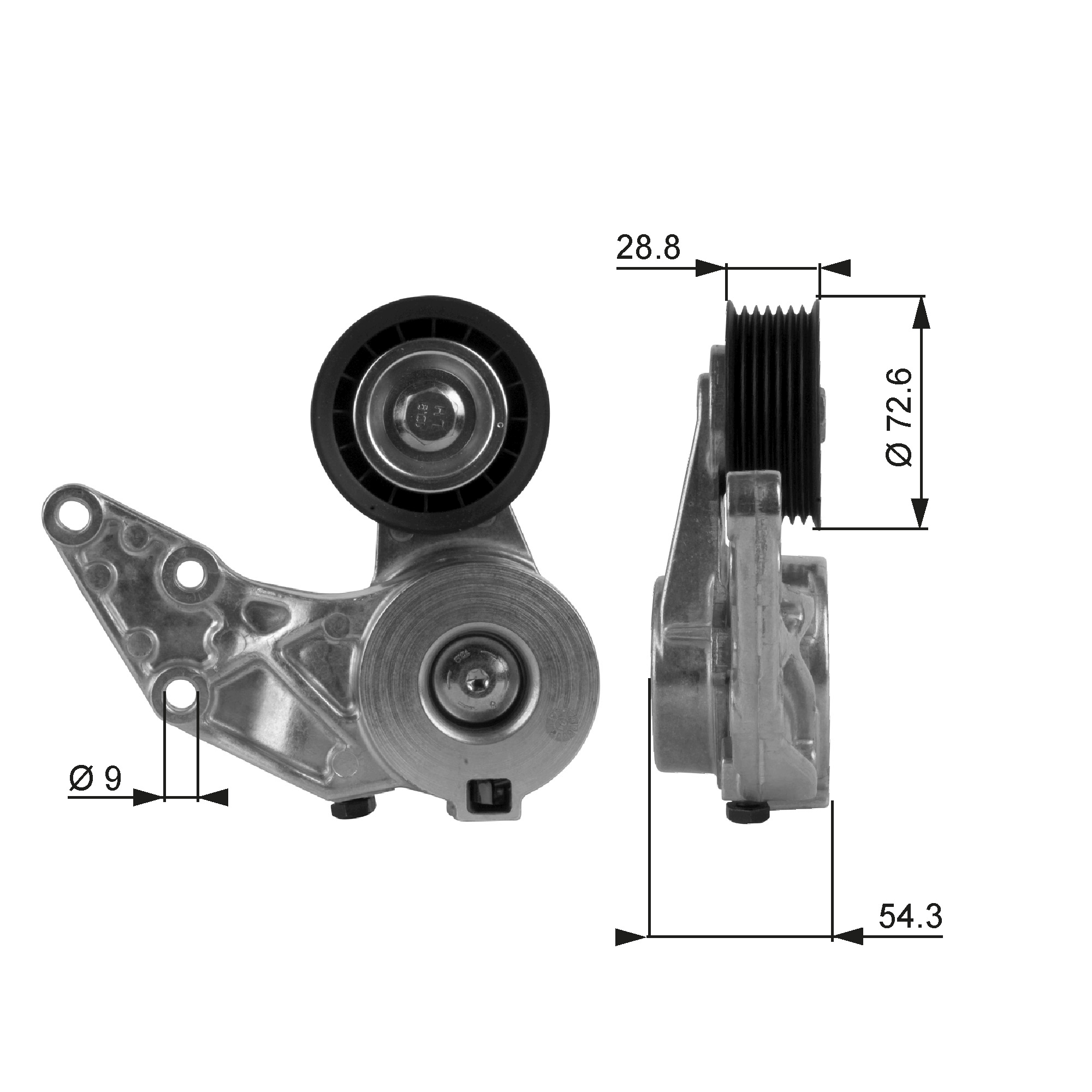 Gates Spanner poly V-riem T38208