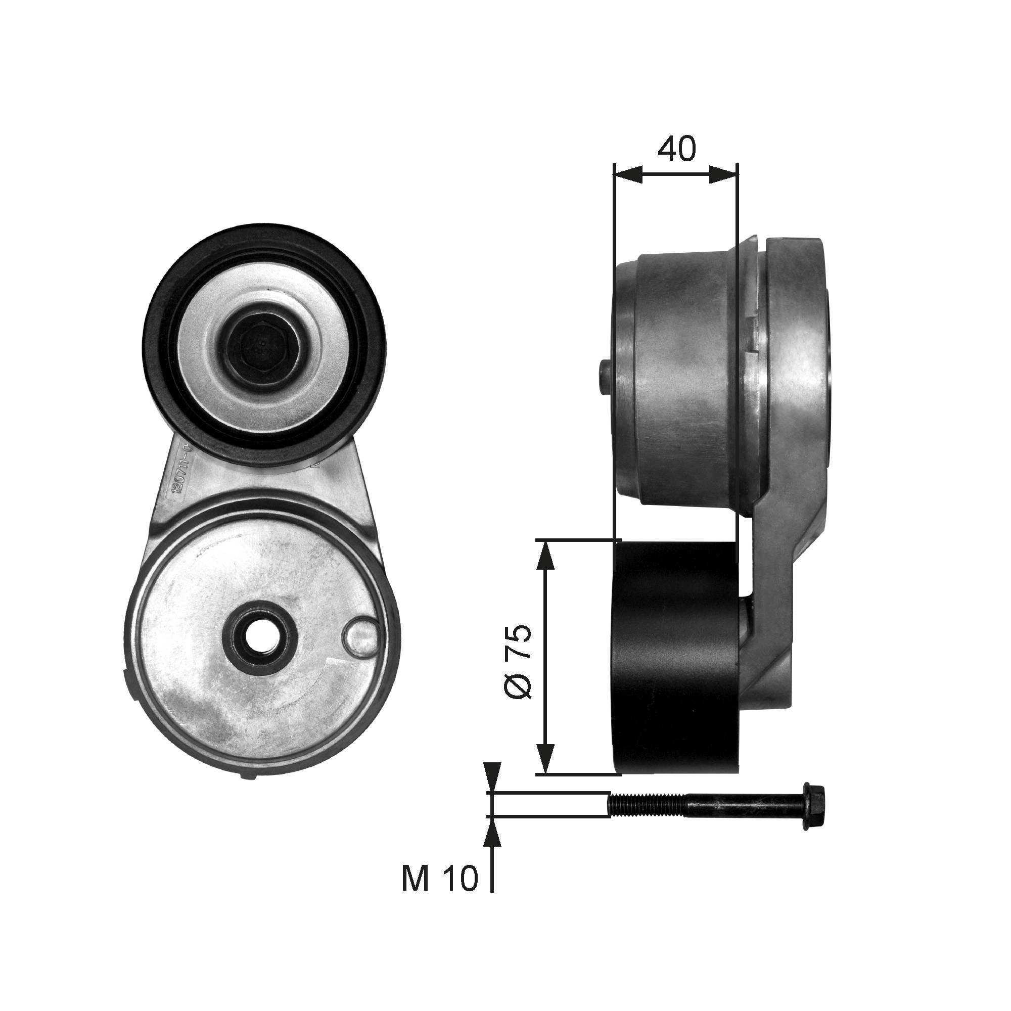 Gates Spanner poly V-riem T38541