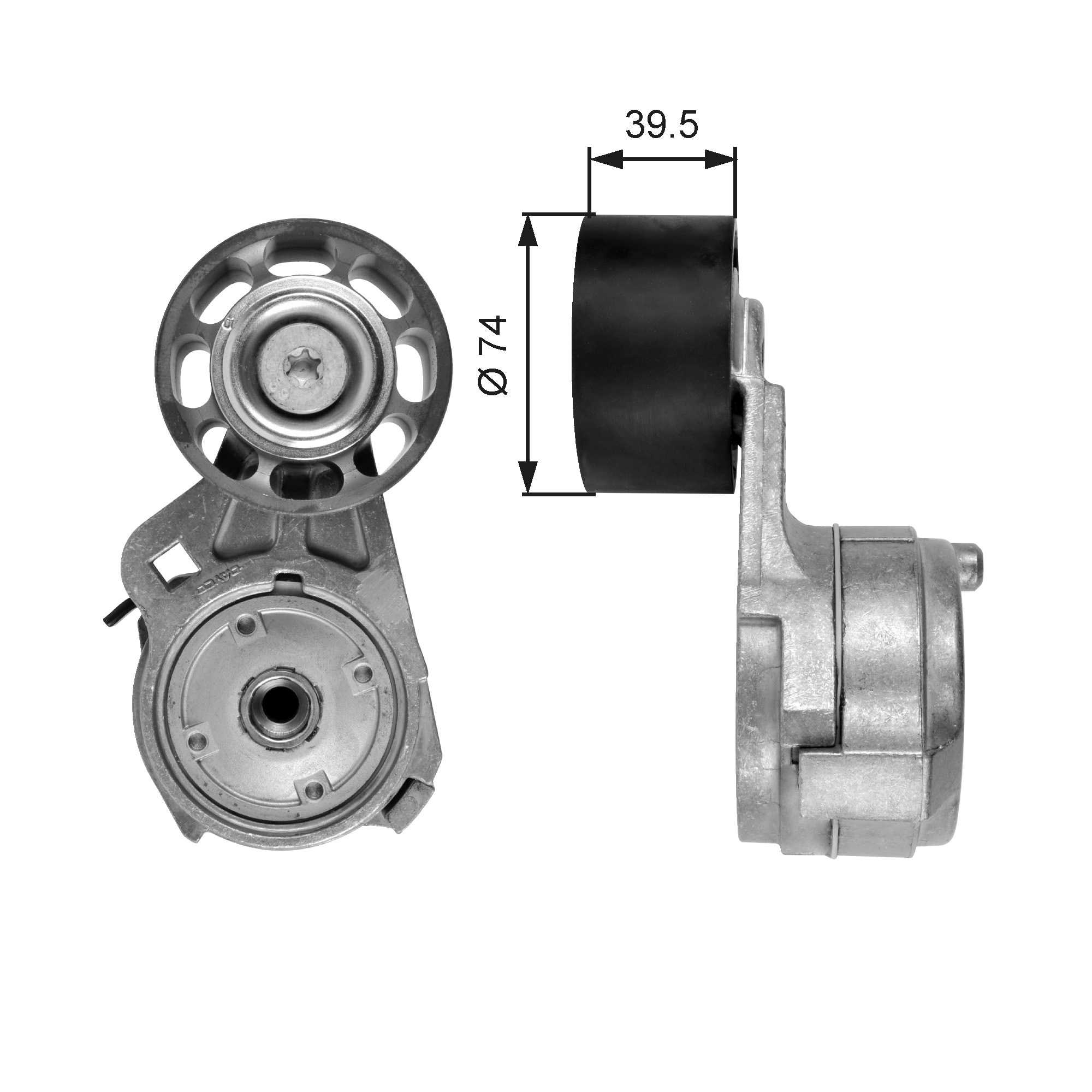 Gates Spanner poly V-riem T38582