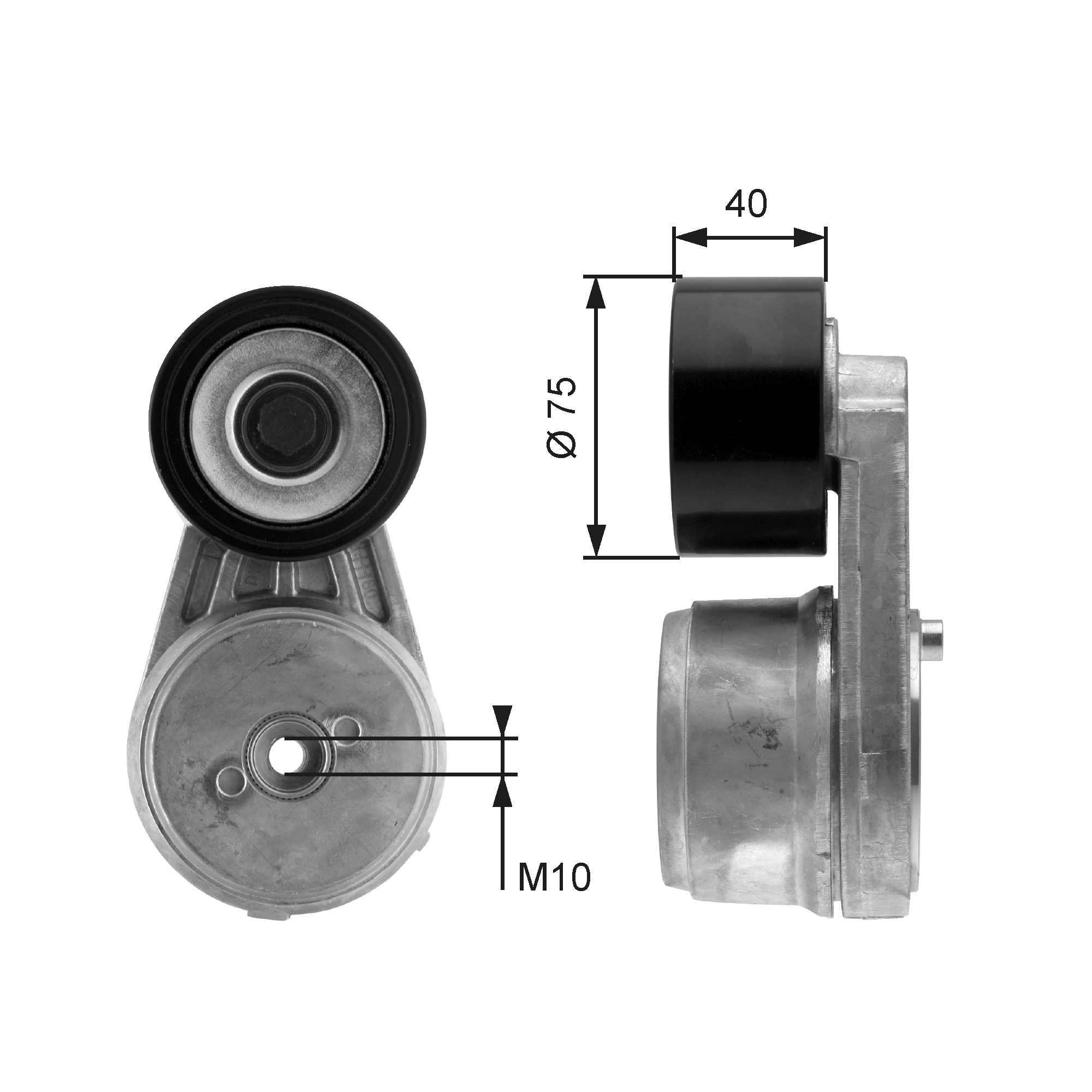 Gates Spanner poly V-riem T38653