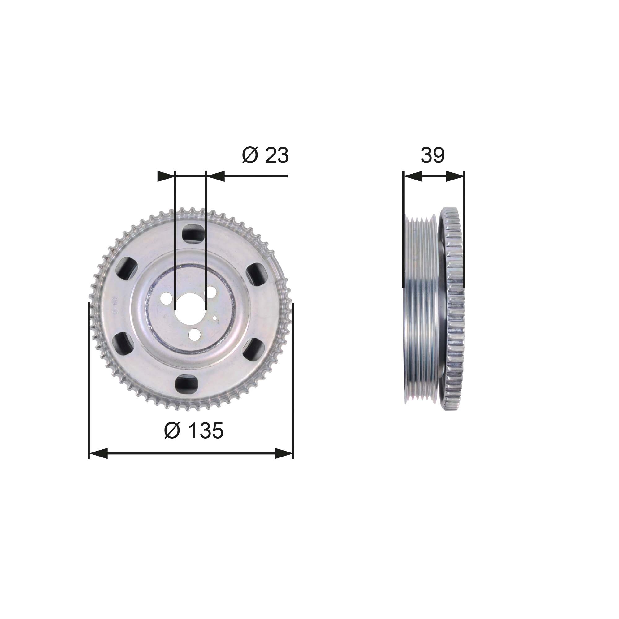 Gates Krukaspoelie TVD1076