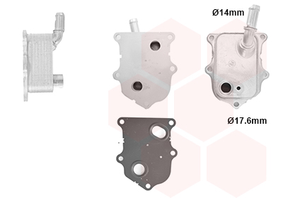 Van Wezel Oliekoeler motorolie 17013709