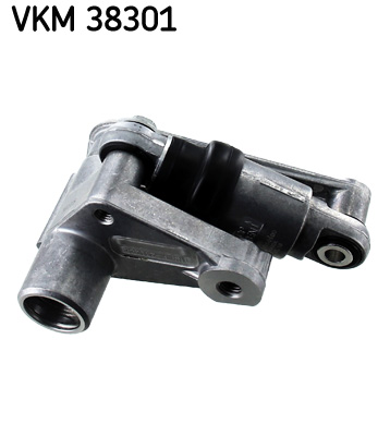 SKF Spanrol (poly) V-riem VKM 38301