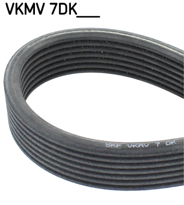 SKF Poly V-riem VKMV 7DK1884