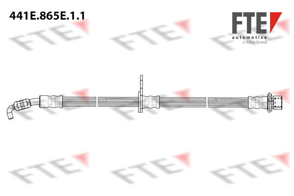 FTE Remslang 441E.865E.1.1