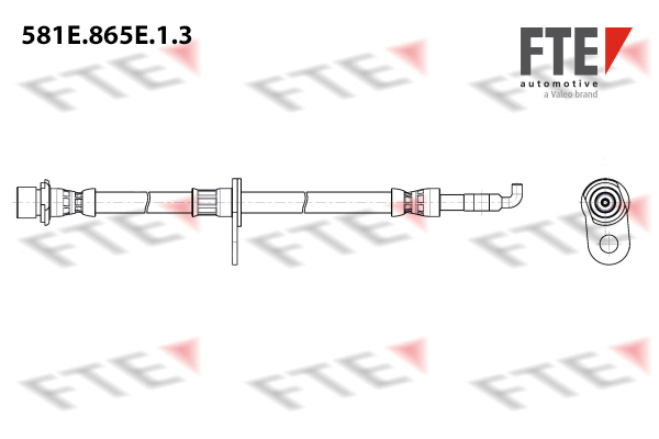 FTE Remslang 581E.865E.1.3