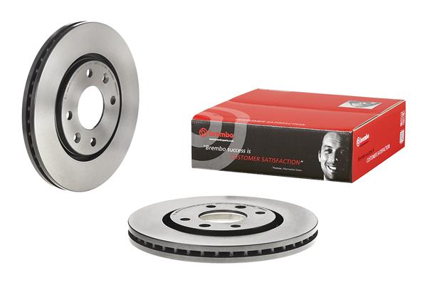 Brembo Remschijven 09.6932.11