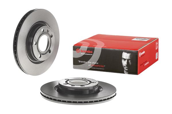 Brembo Remschijven 09.7196.11