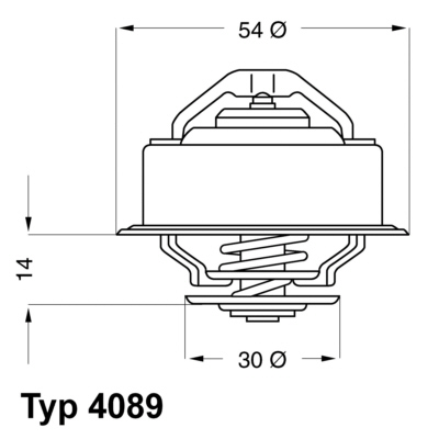 Wahler Thermostaat 4089.92D