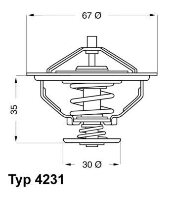 Wahler Thermostaat 4231.71D