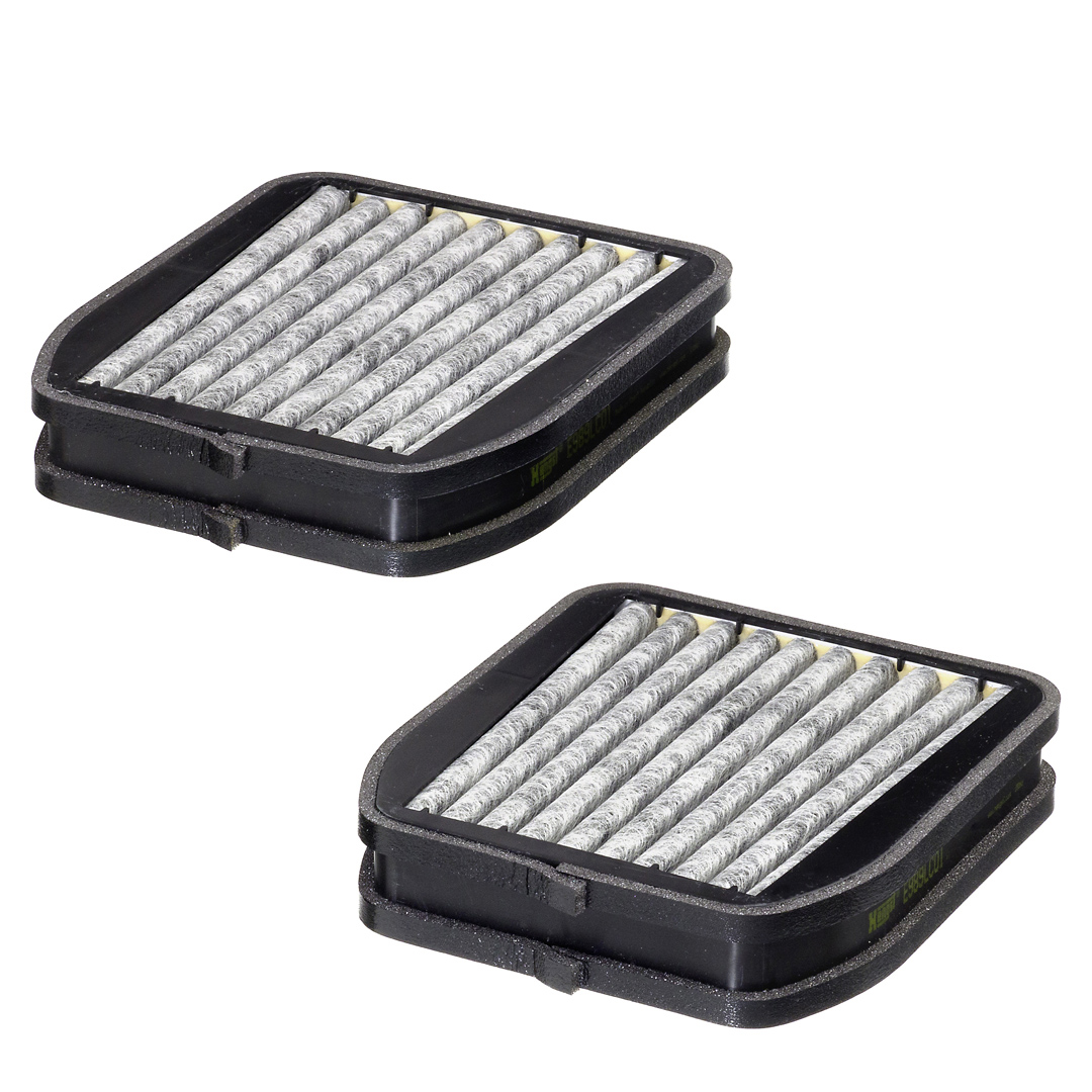 Hengst Filter Interieurfilter E989LC01-2