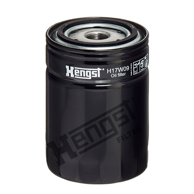 Hengst Filter Luchtfilter, compressor H17W09