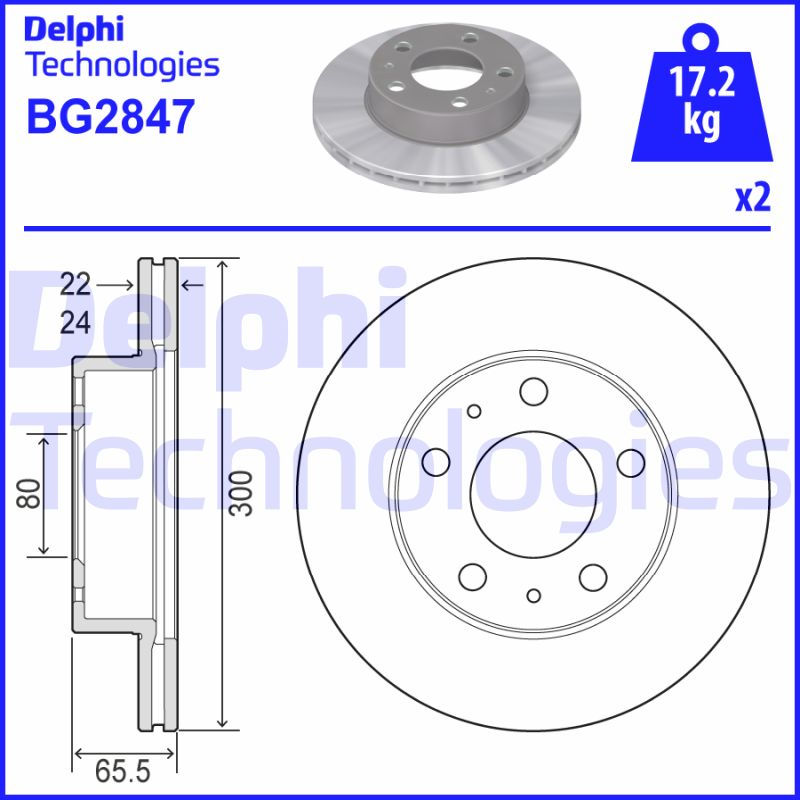 Delphi Diesel Remschijven BG2847